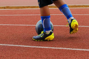 九游网游官网-蛙泳对决奥地利游出新速度，奥运会蛙游泳决赛视频